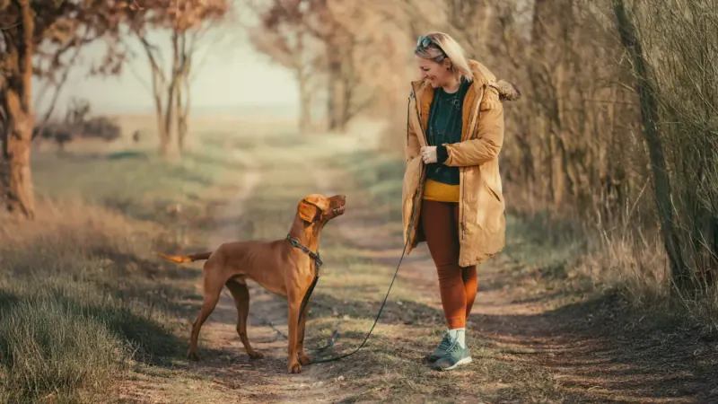 Renée Zweck mit Therapiehund Eddie im Herbstwald